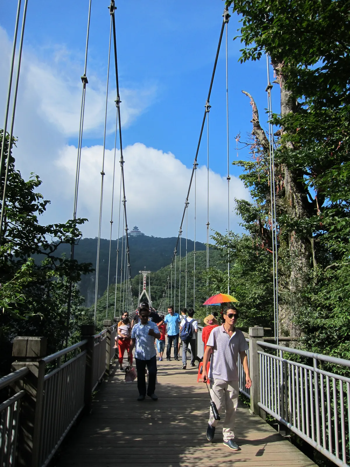 The glass bridge spanning the Zhangjiajie Grand Canyon